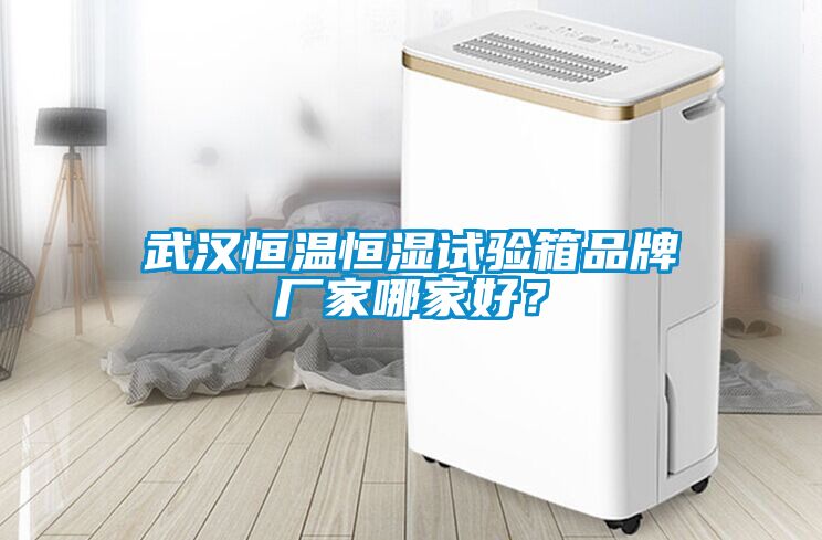武漢恒溫恒濕試驗(yàn)箱品牌廠(chǎng)家哪家好？