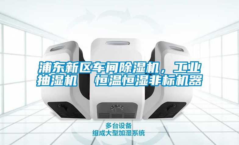 浦東新區(qū)車間除濕機，工業(yè)抽濕機  恒溫恒濕非標(biāo)機器