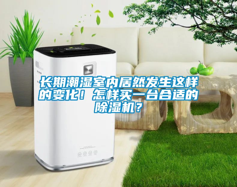 長期潮濕室內居然發(fā)生這樣的變化！怎樣買一臺合適的除濕機？