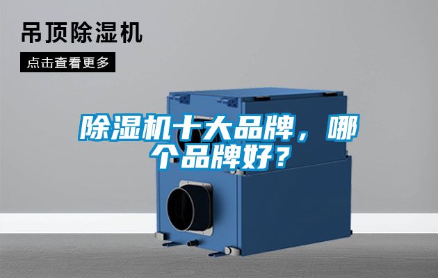 除濕機(jī)十大品牌，哪個(gè)品牌好？