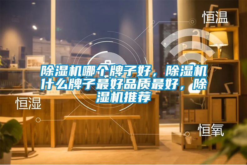 除濕機(jī)哪個(gè)牌子好，除濕機(jī)什么牌子最好品質(zhì)最好，除濕機(jī)推薦