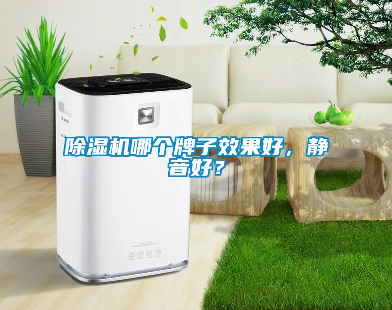 除濕機哪個牌子效果好，靜音好？