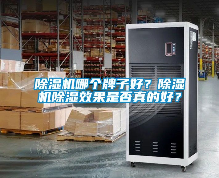 除濕機哪個牌子好？除濕機除濕效果是否真的好？