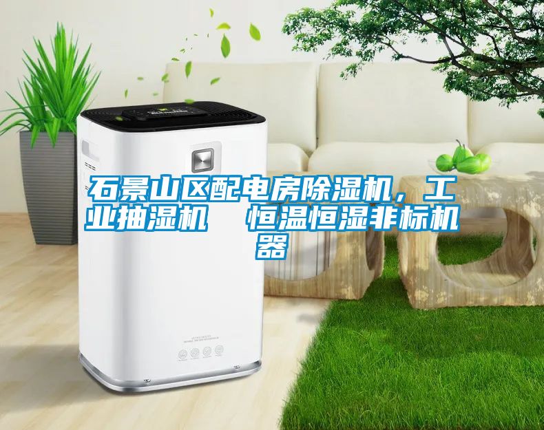 石景山區(qū)配電房除濕機(jī)，工業(yè)抽濕機(jī)  恒溫恒濕非標(biāo)機(jī)器