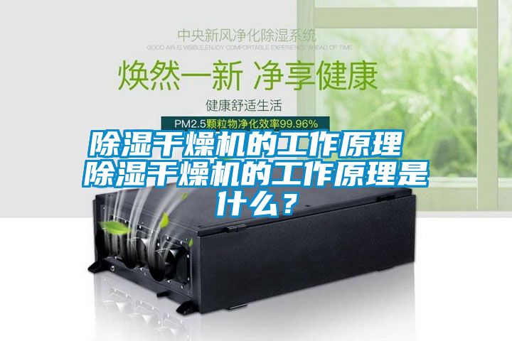 除濕干燥機(jī)的工作原理 除濕干燥機(jī)的工作原理是什么？