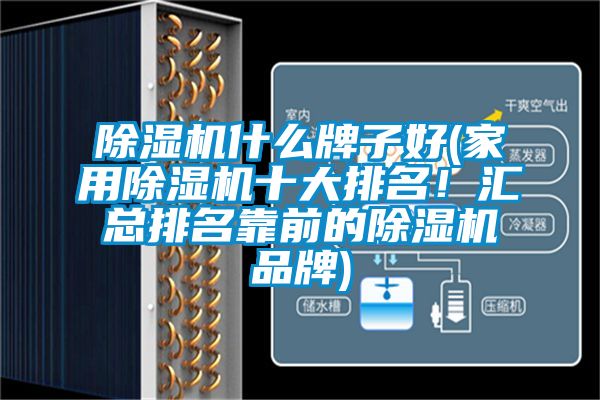 除濕機(jī)什么牌子好(家用除濕機(jī)十大排名！匯總排名靠前的除濕機(jī)品牌)