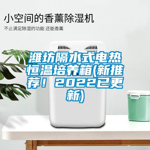 濰坊隔水式電熱恒溫培養(yǎng)箱(新推薦！2022已更新)