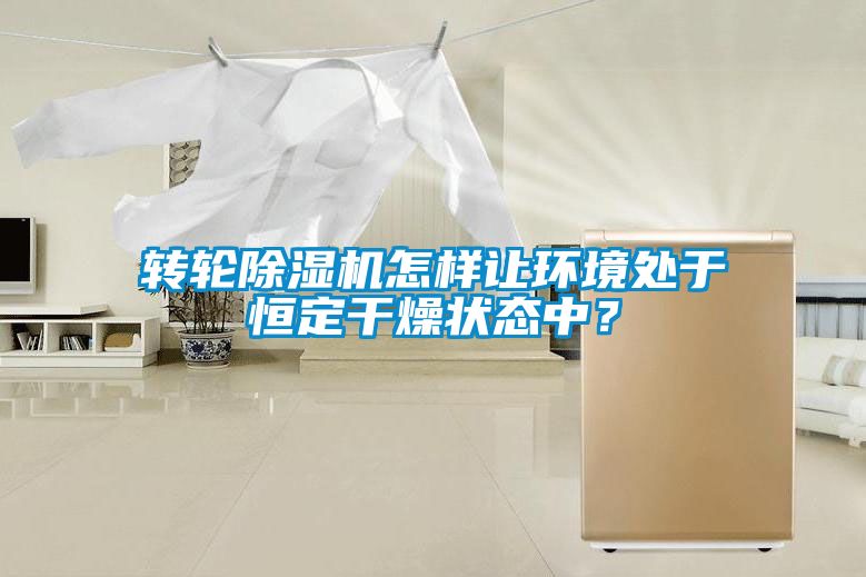 轉(zhuǎn)輪除濕機(jī)怎樣讓環(huán)境處于恒定干燥狀態(tài)中？