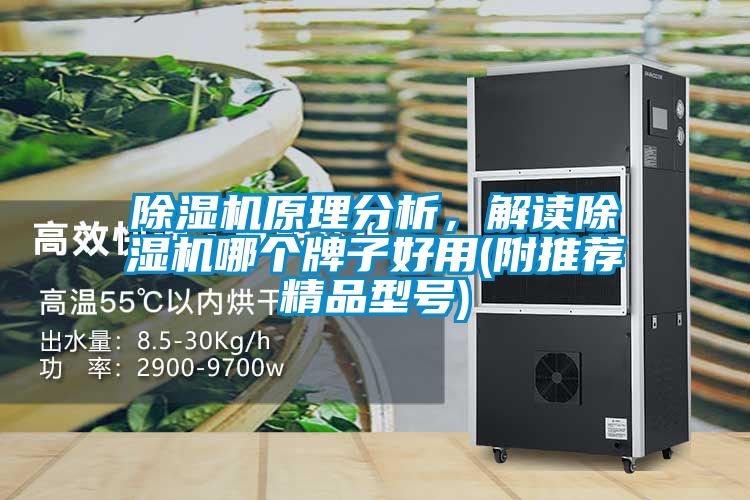 除濕機(jī)原理分析，解讀除濕機(jī)哪個(gè)牌子好用(附推薦精品型號(hào))