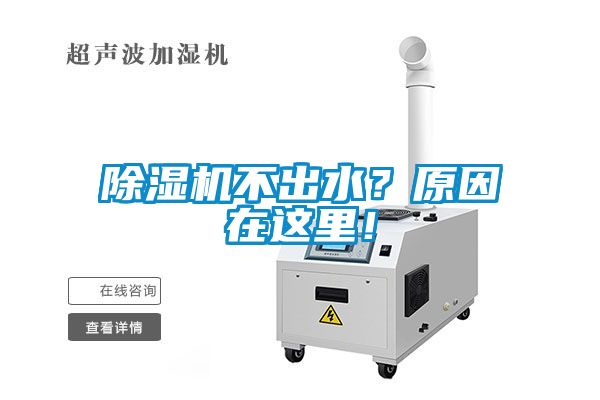 除濕機不出水？原因在這里！