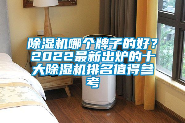 除濕機哪個牌子的好？2022最新出爐的十大除濕機排名值得參考