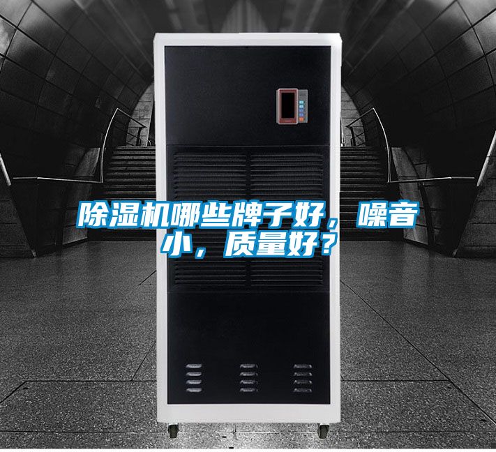 除濕機(jī)哪些牌子好，噪音小，質(zhì)量好？