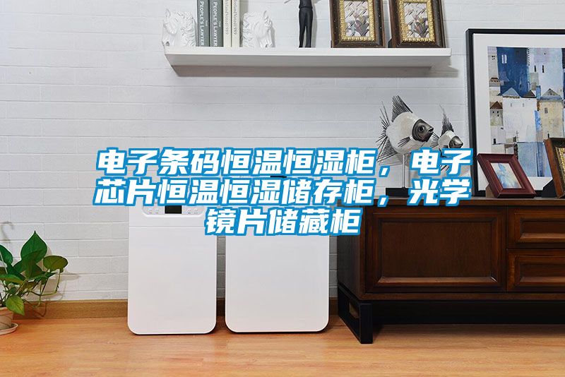 電子條碼恒溫恒濕柜，電子芯片恒溫恒濕儲(chǔ)存柜，光學(xué)鏡片儲(chǔ)藏柜