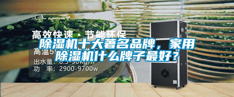 除濕機(jī)十大著名品牌，家用除濕機(jī)什么牌子最好？