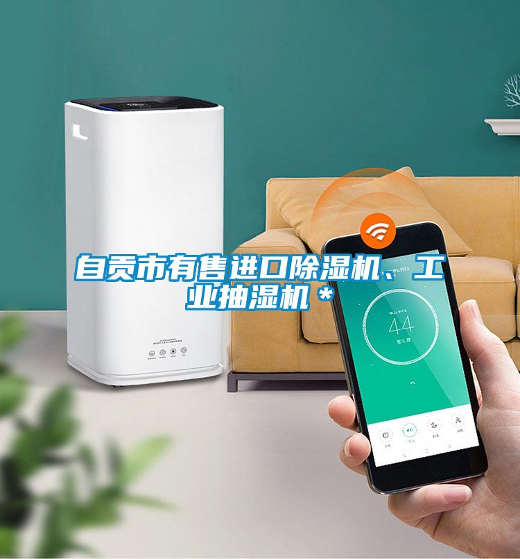 自貢市有售進(jìn)口除濕機(jī)、工業(yè)抽濕機(jī)＊