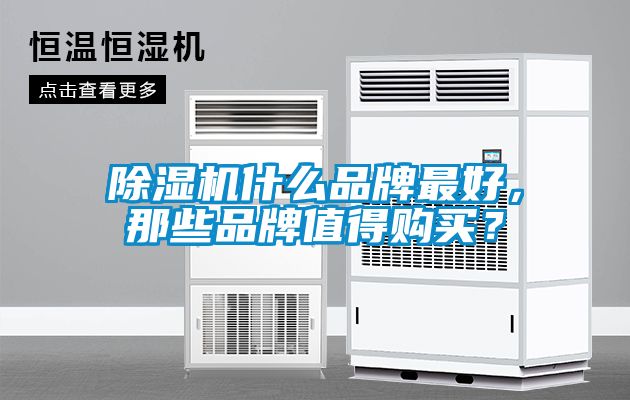 除濕機(jī)什么品牌最好，那些品牌值得購(gòu)買？