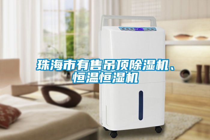 珠海市有售吊頂除濕機、恒溫恒濕機
