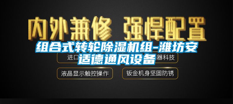 組合式轉(zhuǎn)輪除濕機組-濰坊安適德通風設備