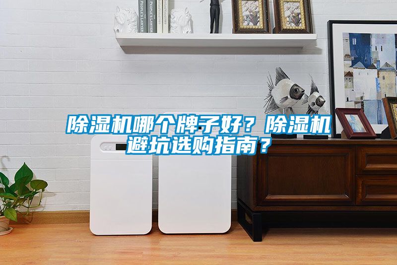 除濕機哪個牌子好？除濕機避坑選購指南？