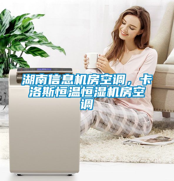 湖南信息機房空調(diào)，卡洛斯恒溫恒濕機房空調(diào)