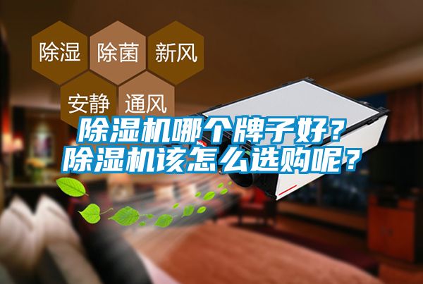 除濕機(jī)哪個(gè)牌子好？除濕機(jī)該怎么選購呢？
