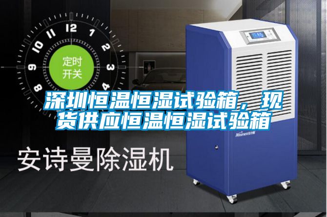 深圳恒溫恒濕試驗(yàn)箱，現(xiàn)貨供應(yīng)恒溫恒濕試驗(yàn)箱