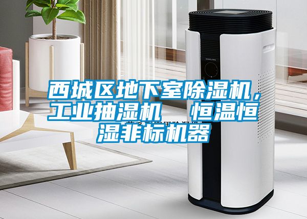 西城區(qū)地下室除濕機(jī)，工業(yè)抽濕機(jī)  恒溫恒濕非標(biāo)機(jī)器