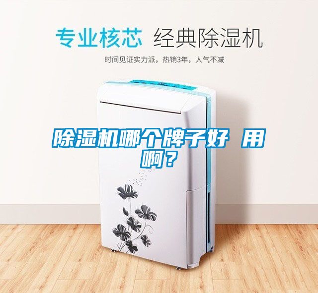 除濕機(jī)哪個(gè)牌子好 用?。?/></p>
						    <p style=