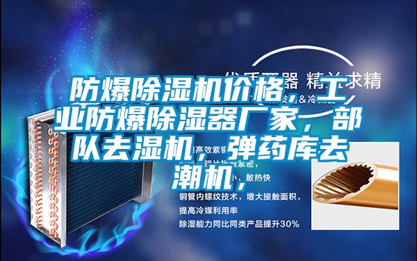 防爆除濕機價格，工業(yè)防爆除濕器廠家，部隊去濕機，彈藥庫去潮機，