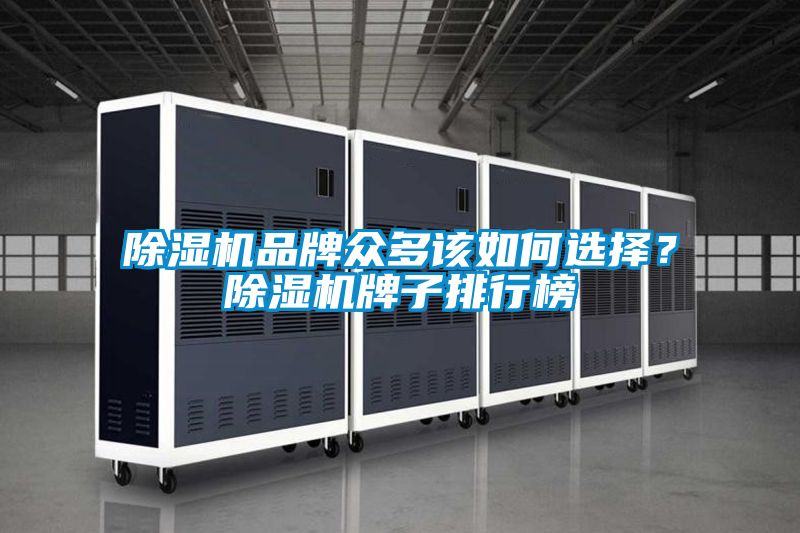 除濕機(jī)品牌眾多該如何選擇？除濕機(jī)牌子排行榜