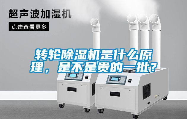 轉(zhuǎn)輪除濕機(jī)是什么原理，是不是貴的一批？