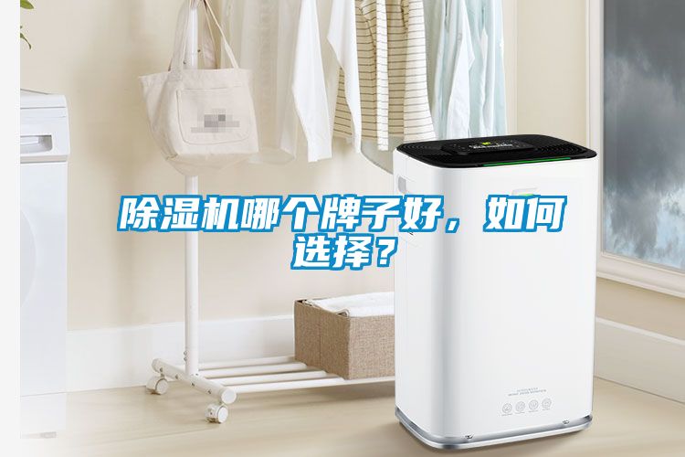 除濕機(jī)哪個(gè)牌子好，如何選擇？