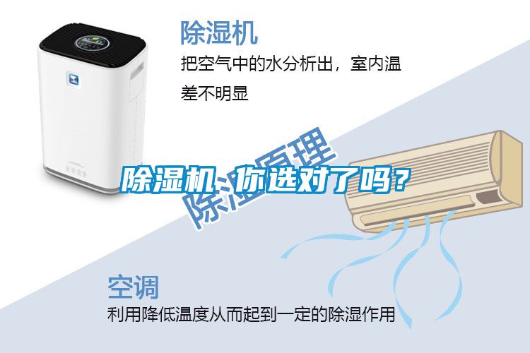 除濕機 你選對了嗎？