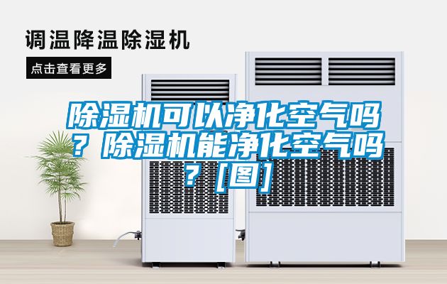 除濕機可以凈化空氣嗎？除濕機能凈化空氣嗎？[圖]