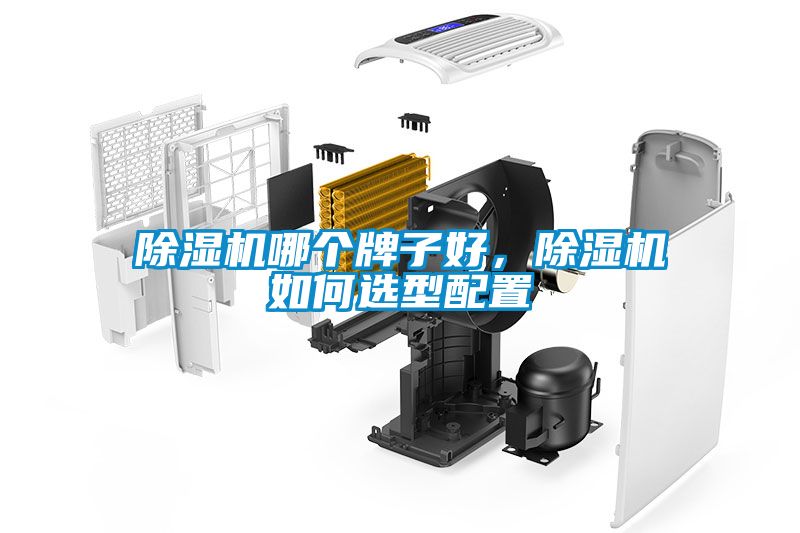 除濕機哪個牌子好，除濕機如何選型配置