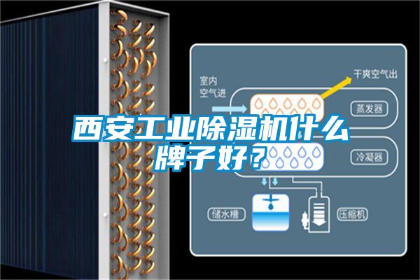 西安工業(yè)除濕機(jī)什么牌子好？