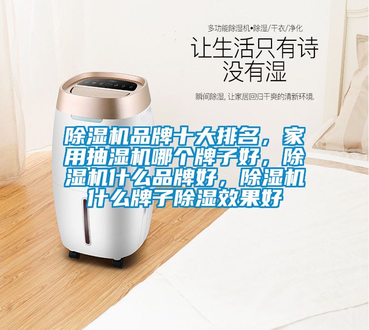 除濕機品牌十大排名，家用抽濕機哪個牌子好，除濕機什么品牌好，除濕機什么牌子除濕效果好