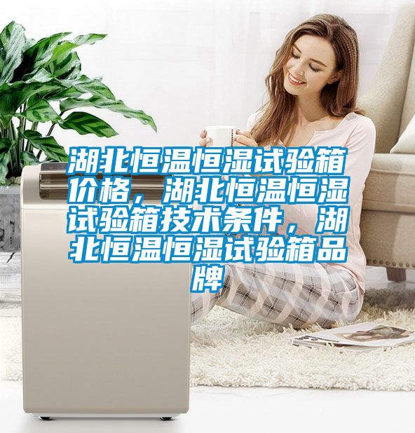 湖北恒溫恒濕試驗(yàn)箱價(jià)格，湖北恒溫恒濕試驗(yàn)箱技術(shù)條件，湖北恒溫恒濕試驗(yàn)箱品牌