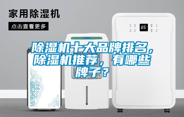 除濕機(jī)十大品牌排名，除濕機(jī)推薦，有哪些牌子？