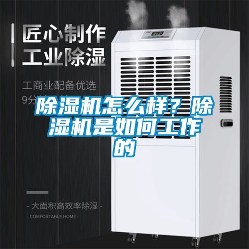 除濕機(jī)怎么樣？除濕機(jī)是如何工作的