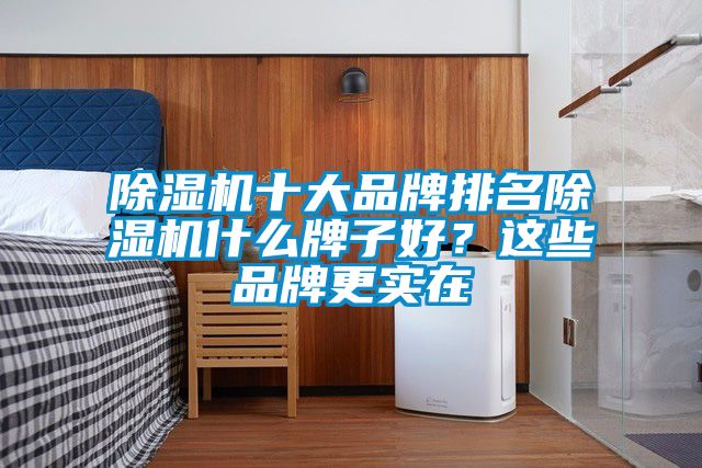 除濕機十大品牌排名除濕機什么牌子好？這些品牌更實在