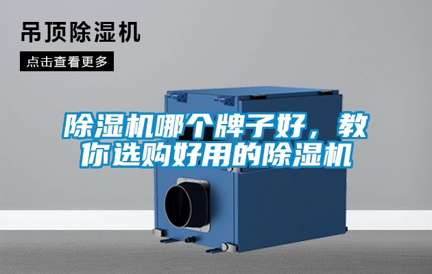 除濕機哪個牌子好，教你選購好用的除濕機