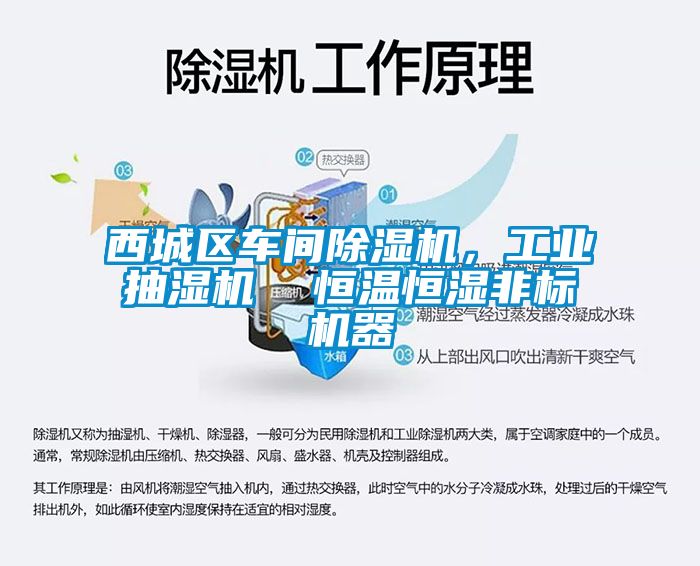 西城區(qū)車(chē)間除濕機(jī)，工業(yè)抽濕機(jī)  恒溫恒濕非標(biāo)機(jī)器