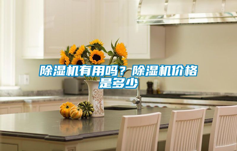 除濕機(jī)有用嗎？除濕機(jī)價(jià)格是多少