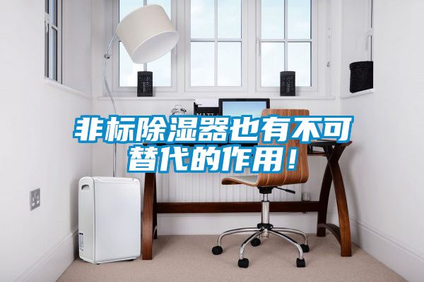 非標(biāo)除濕器也有不可替代的作用！