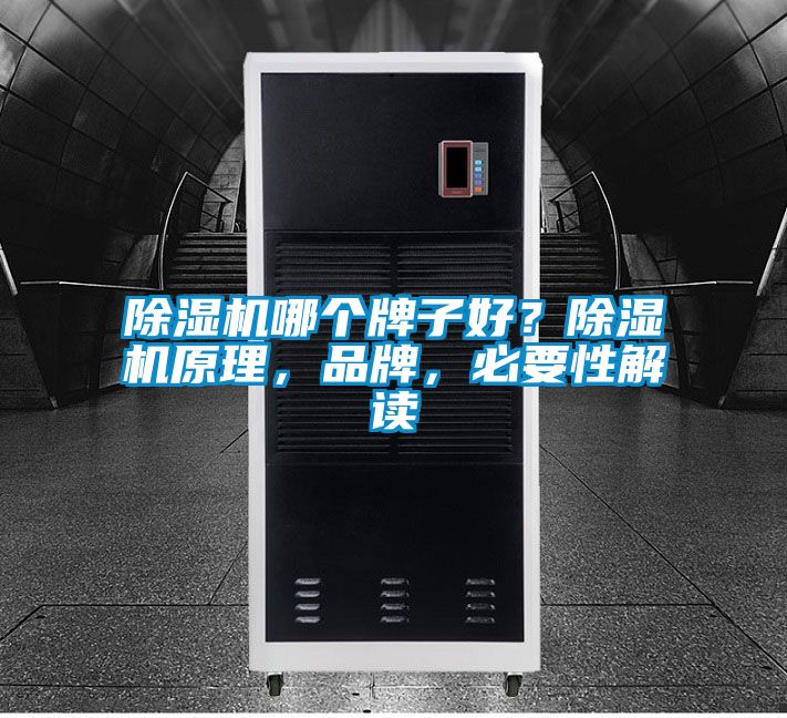 除濕機哪個牌子好？除濕機原理，品牌，必要性解讀