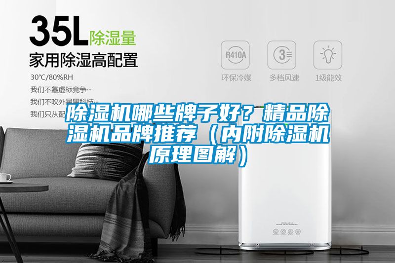 除濕機(jī)哪些牌子好？精品除濕機(jī)品牌推薦（內(nèi)附除濕機(jī)原理圖解）