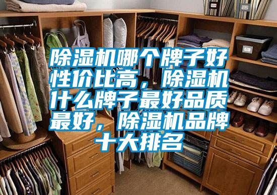 除濕機哪個牌子好性價比高，除濕機什么牌子最好品質(zhì)最好，除濕機品牌十大排名