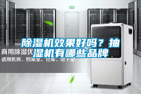 除濕機(jī)效果好嗎？抽濕機(jī)有哪些品牌