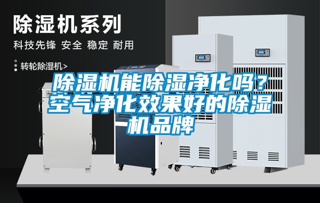 除濕機(jī)能除濕凈化嗎？空氣凈化效果好的除濕機(jī)品牌